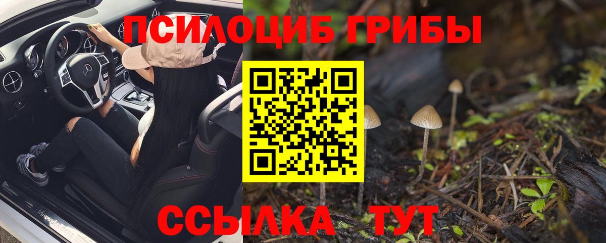 Саратов  магазин продажи   Вход с VPN  Псилоцибиновые грибы GOLDEN TEACHER 